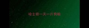 哈士奇一天一斤狗粮