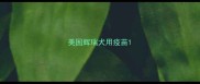 美国辉瑞犬用疫苗