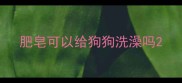 肥皂可以给狗狗洗澡吗