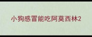 小狗感冒能吃阿莫西林