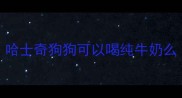 哈士奇狗狗可以喝纯牛奶么
