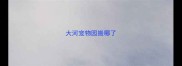 大河宠物园搬哪了