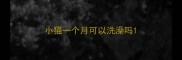 小猫一个月可以洗澡吗