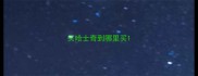 买哈士奇到哪里买