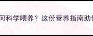 金毛四个月黄金期如何科学喂养这份营养指南助你养出健康聪明宝宝