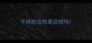 不纯的边牧是边牧吗