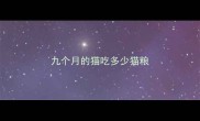 九个月的猫吃多少猫粮