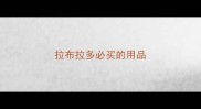 拉布拉多必买的用品