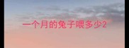一个月的兔子喂多少