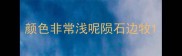 颜色非常浅呢陨石边牧