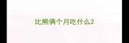 比熊俩个月吃什么