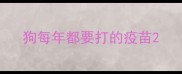 狗每年都要打的疫苗