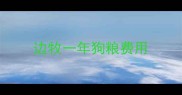 边牧一年狗粮费用