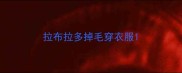 拉布拉多掉毛穿衣服