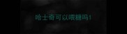 哈士奇可以喂糖吗