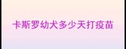 卡斯罗幼犬多少天打疫苗
