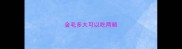 金毛多大可以吃两顿