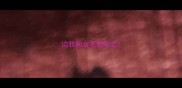 边牧和金毛的杂交