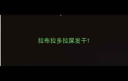 拉布拉多拉屎发干