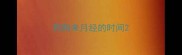 狗狗来月经的时间