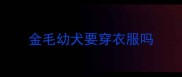 金毛幼犬要穿衣服吗