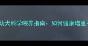 拉布拉多幼犬科学喂养指南如何健康增重不踩坑