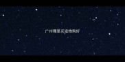 广州哪里买宠物狗好