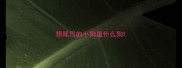 翘尾巴的小狗是什么狗