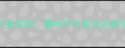 粉色爪爪变深棕猫咪爪色变化的科学护理指南