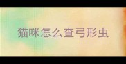 猫咪怎么查弓形虫
