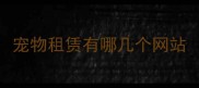 宠物租赁有哪几个网站