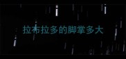 拉布拉多的脚掌多大