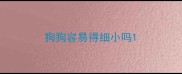 狗狗容易得细小吗