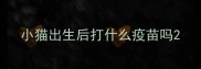 小猫出生后打什么疫苗吗