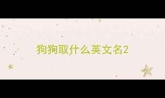 狗狗取什么英文名
