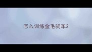 怎么训练金毛骑车
