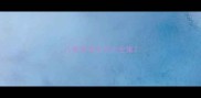 八哥狗狗名字大全集