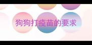 狗狗打疫苗的要求
