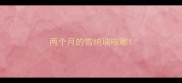 两个月的雪纳瑞咳嗽