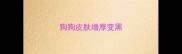 狗狗皮肤增厚变黑