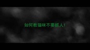 如何教猫咪不要抓人