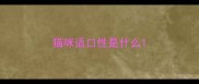 猫咪适口性是什么
