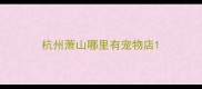 杭州萧山哪里有宠物店