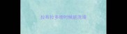 拉布拉多啥时候能洗澡