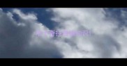 哈士奇拉雪橇知识