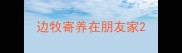 边牧寄养在朋友家