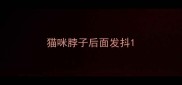 猫咪脖子后面发抖
