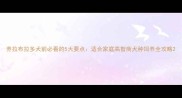 养拉布拉多犬前必看的5大要点适合家庭高智商犬种饲养全攻略