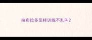 拉布拉多怎样训练不乱叫