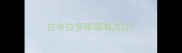拉布拉多眼睛有点红